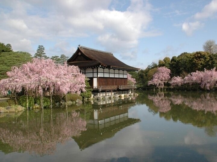 【京都】桜の名所10選