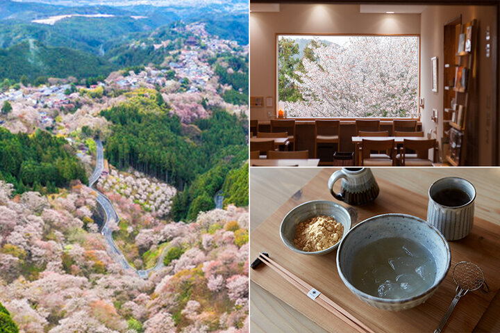 朝霧や夜桜も楽しめる♪桜の名所・吉野山へ春さんぽ				