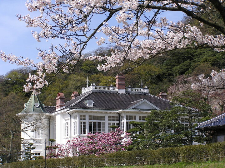 文化施設が集い、お花見もできる久松山近辺がおすすめ