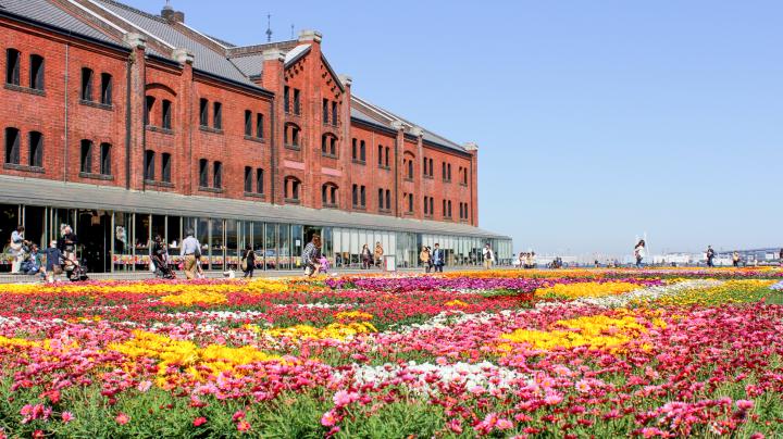 いよいよ開催♪ 横浜赤レンガ倉庫の人気イベント「フラワーガーデン」で、お花もスイーツも楽しもう