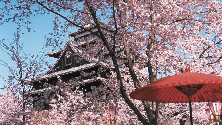 縁結びの神様を訪ねて―松江・出雲をめぐる春の旅