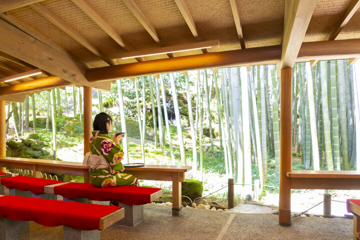 00本の竹に囲まれた鎌倉 報国寺 駅周辺の喧騒から離れて癒しの異空間へ ことりっぷ