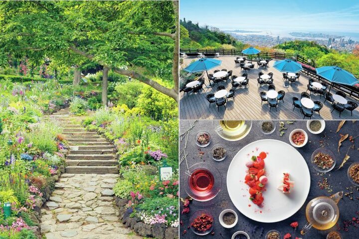 緑のカフェ、日本庭園、ハーブ園…神戸で自然を感じるスポット3選 ｜ ことりっぷ