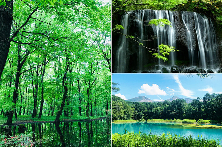  心も体もリフレッシュ♪　緑が美しい東日本の森林浴スポット