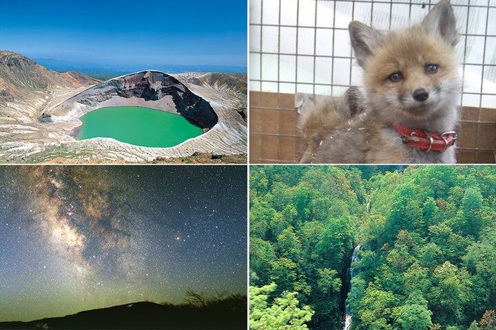 宮城蔵王で訪れたい神秘の絶景・御釜から愛らしいキツネの動物園まで♪ グリーンシーズンおすすめスポット4選