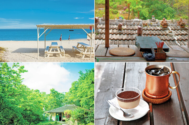 絶景海カフェ 亜熱帯植物の森カフェ 沖縄の気になるカフェ7選 ことりっぷ