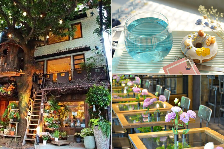 のんびり癒しのひとときを 東京でみつけた緑とお花に囲まれたおしゃれなカフェ６選 ことりっぷ