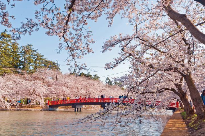 北海道新幹線に乗って出かけよう♪ 新青森駅から行ける春のおすすめスポット5選