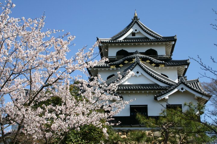 滋賀の旅には欠かせない「彦根城」と城下町を散策