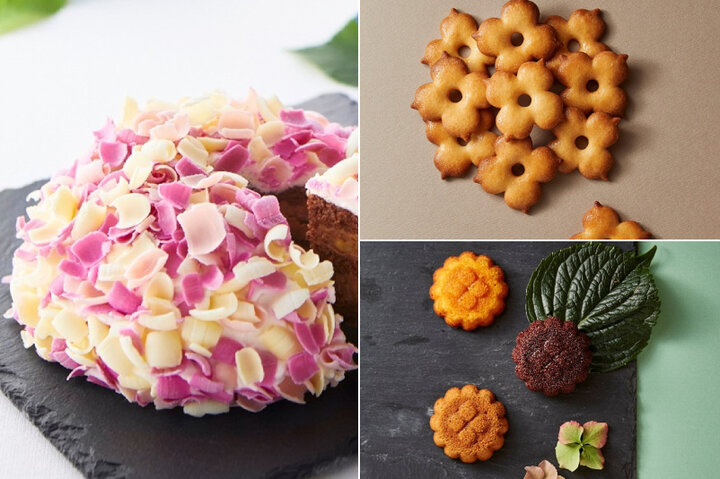 初夏を彩る鎌倉の新しい手土産♪ あじさいモチーフのケーキ「てまり花