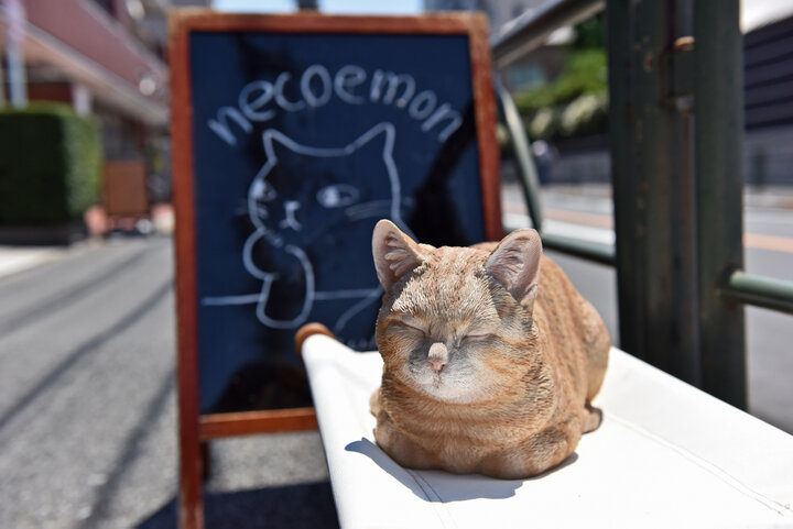 かわいいニャンコスイーツにほっこり 自分だけの招き猫 も作れる谷中の カフェ猫衛門 ことりっぷ