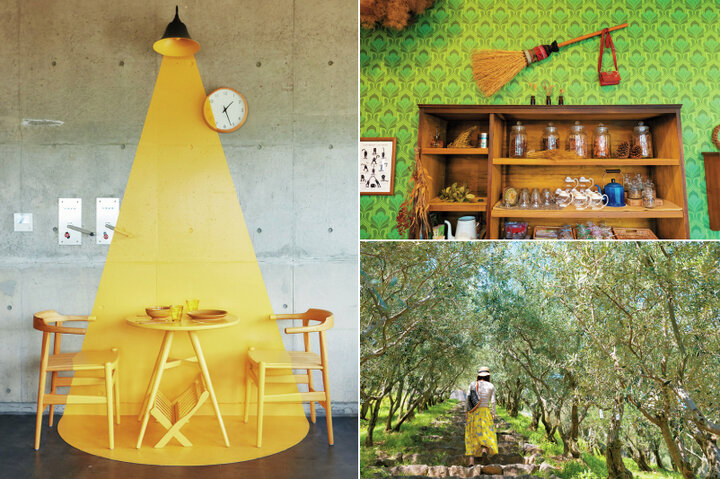 国産オリーブの発祥地、香川・小豆島で緑に包まれるオリーブパークを散策