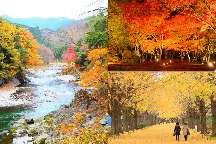 感動的な絶景に癒されて 関東近郊の紅葉の名所7選 ことりっぷ