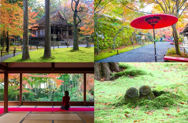 京都 大原で紅葉さんぽ 人気の三千院と宝泉院で秋を満喫 ことりっぷ