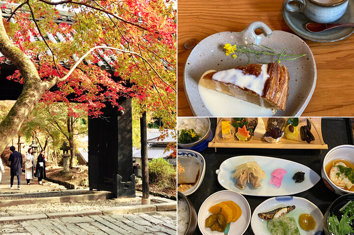筑前の小京都で紅葉さんぽからフルーツまで♪ 福岡県秋月で訪れたい