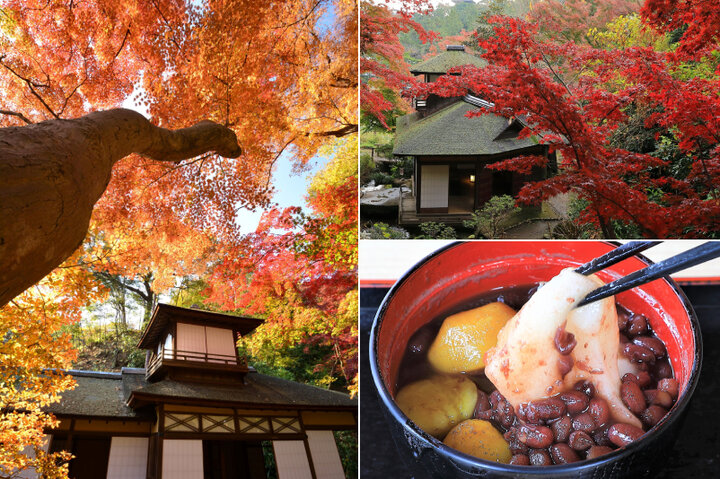 12年ぶりの紅葉ライトアップも開催。横浜の名勝庭園「三渓園」で愉しむ日本の秋