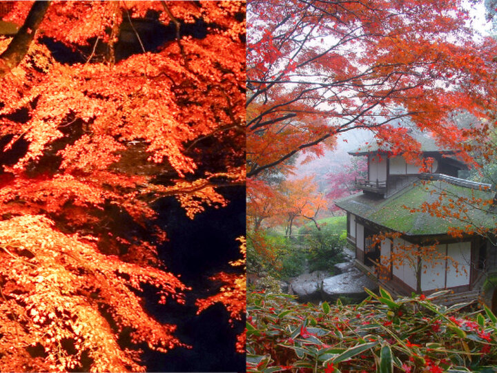 庭園・建築・美術が一体となった近代日本庭園