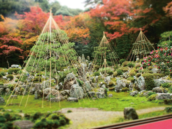 独特の枯山水庭園や井伊直虎ゆかりの名城を巡る「米原・彦根・多賀」