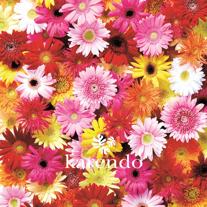 お花屋さんが作るカラフルなフラワーチョコレート Karendo Flower Chocolate 22 ことりっぷ