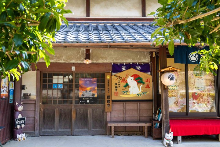 京都の奥座敷・八瀬にある猫好きの聖地へ♪「猫猫寺 開運ミュージアム