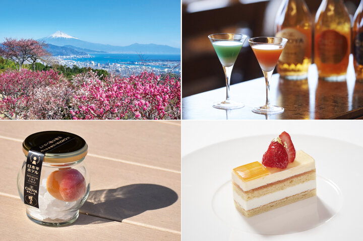 富士山とともに見ごろの梅花と梅スイーツを堪能「日本平ホテル」×「The CHOYA銀座BAR」コラボ梅フェア