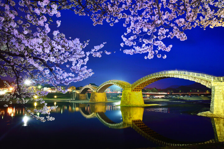 国内屈指の桜の名所も 満開の桜に癒される 中国地方の春旅へ ことりっぷ