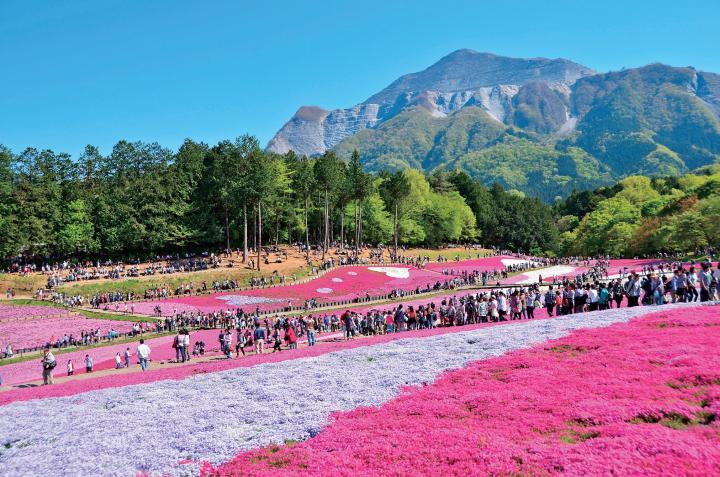 芝桜の季節におでかけしたい♪豊かな自然とレトロな町並が残る「ちちぶ」のおすすめスポット5選