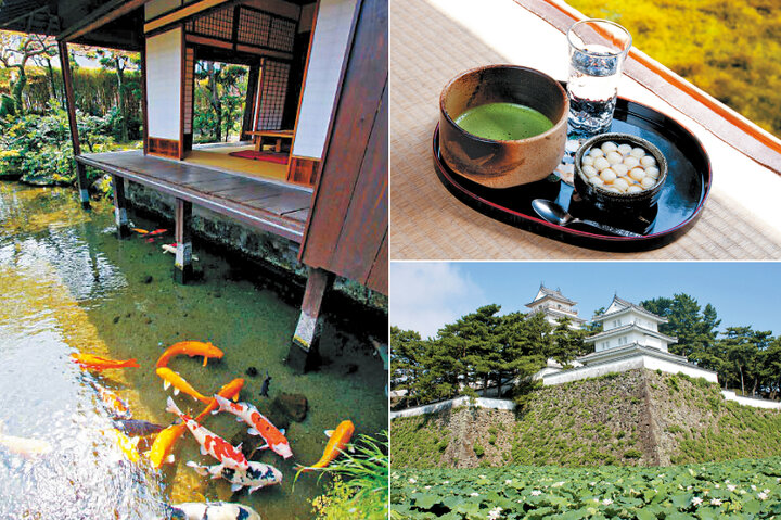 湧水のせせらぎを耳にしながら水の都へ。松平7万石の城下町、長崎・島原さんぽ