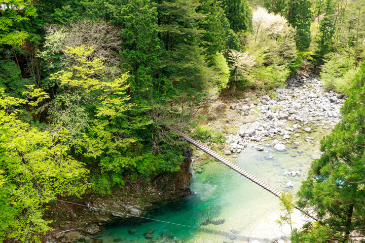 【中津川市】ヒノキの森の中で出会う心を癒やす青く美しい流れ「付知峡」