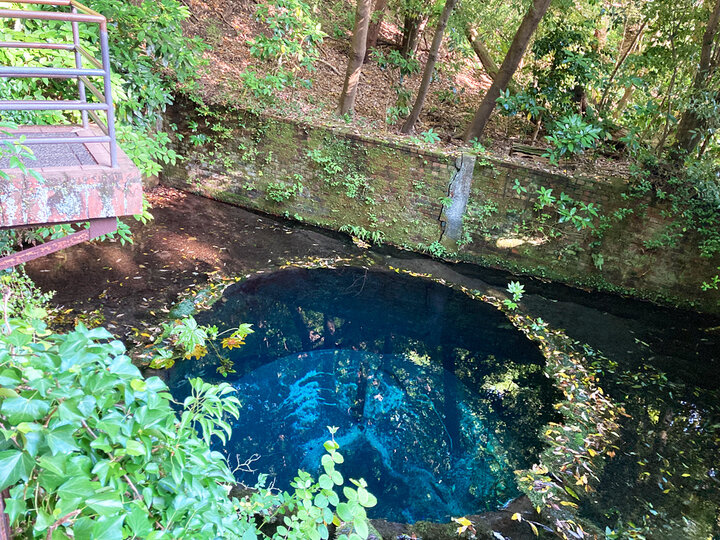 柿田川公園の裏手にひっそりと佇むカフェ