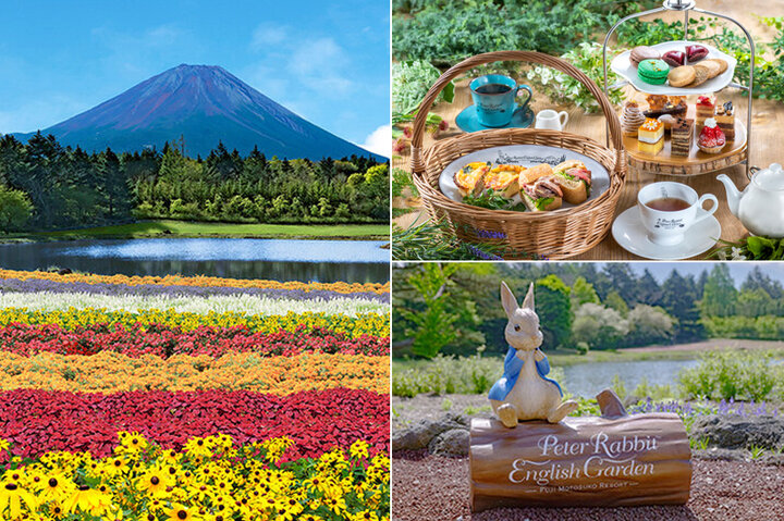 約8万株の多彩な花々と富士山の共演も♪「虹の花まつり」が富士本栖湖リゾートで初開催