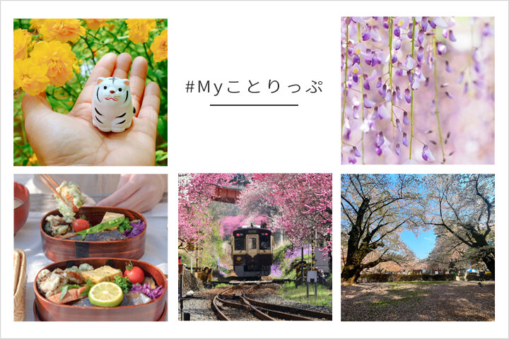 「#Myことりっぷ」4月入賞者｜写真投稿コンテスト