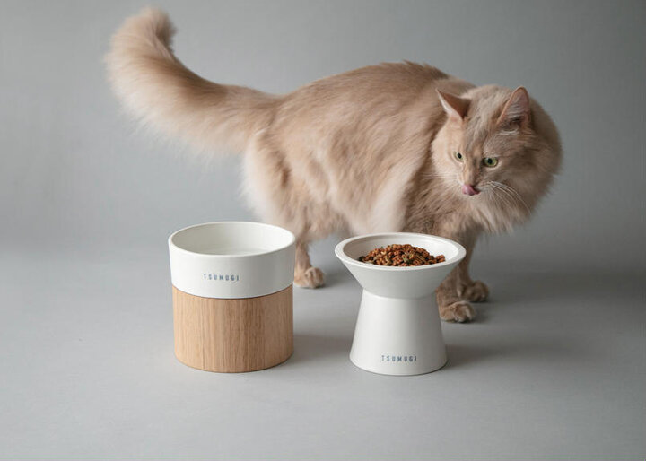 愛猫の名前入り。人気のフードボウル・ウォーターボウルの名入れ受注会&即売会を開催
