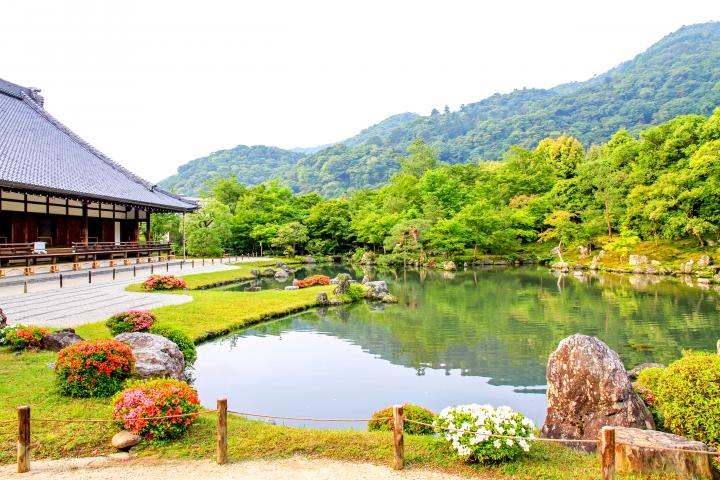 朝もやがかかる嵐山を借景に庭を楽しむ「天龍寺」