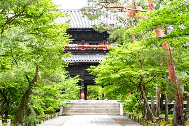 早起きして訪れたい、京都の“朝観光”におすすめの神社仏閣9選