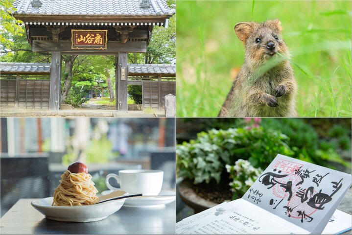 「鎌倉殿」を支えた比企能員ゆかりの埼玉県東松山さんぽ。梨狩り＆かわいい動物に癒される♪
