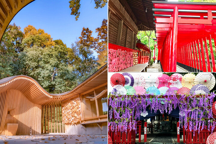 愛知県で訪れてみたい神社9選｜ことりっぷフォト