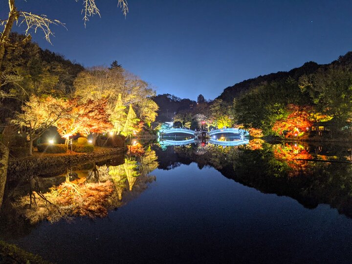 町田の秋の風物詩「薬師池公園」の紅葉ライトアップを見に行きましょう