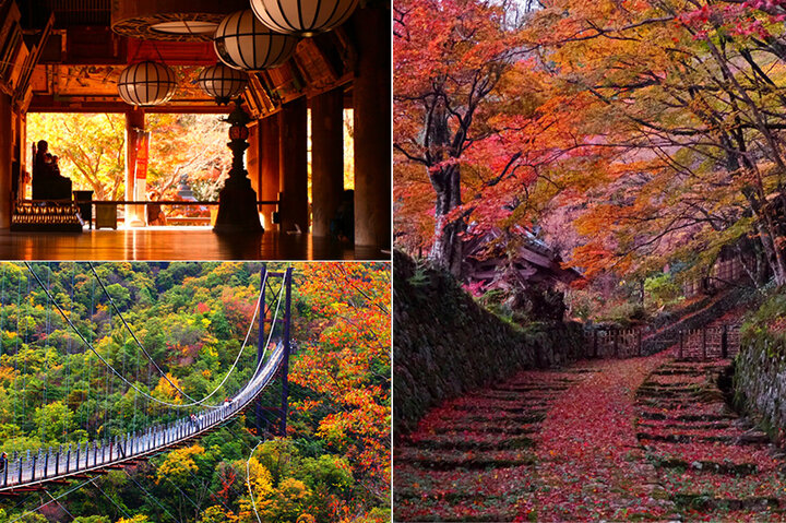 【大阪から2時間】美しい紅葉が楽しめる関西の絶景スポット9選