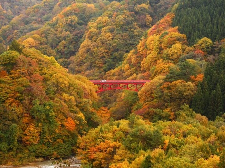 【2025年秋】甲信越の紅葉10選。富士山、渓谷、高原など、山々を美しく染める絶景を堪能