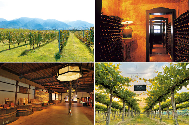 極上の1本を求めて。ワインのふるさと・勝沼でワイナリーめぐり