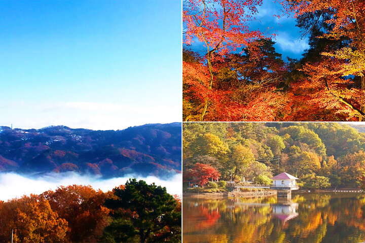 都心から一番近い雲海とのコラボが楽しめる場所も♪秩父＆長瀞エリアの紅葉スポット6選