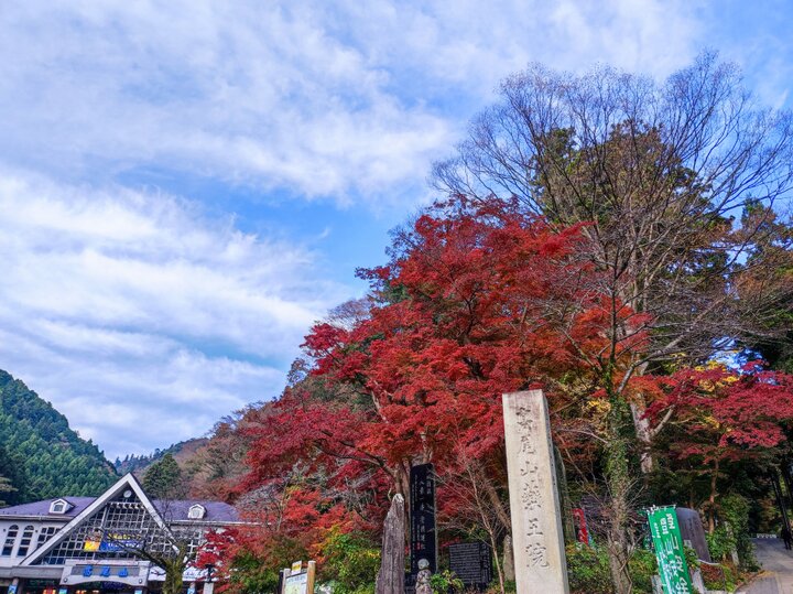 高尾山で特に紅葉がきれいな場所は？
