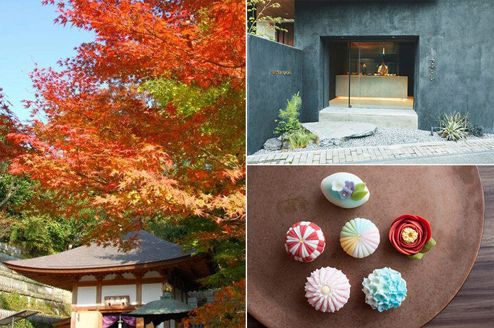 鎌倉・長谷寺のライトアップ紅葉とともに楽しむおさんぽ＆グルメ6選