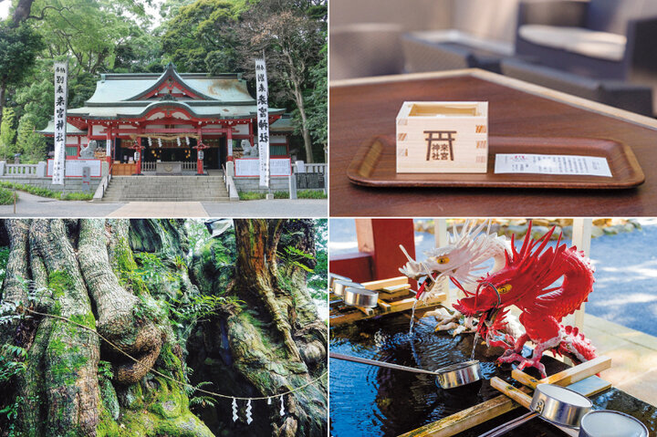 【熱海神社まとめ】パワースポット來宮神社、源頼朝と北条政子ゆかりの伊豆山神社へ