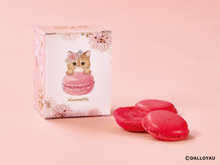 心ときめく猫ニャカロン♪ポール＆ジョー×ダロワイヨ、初の