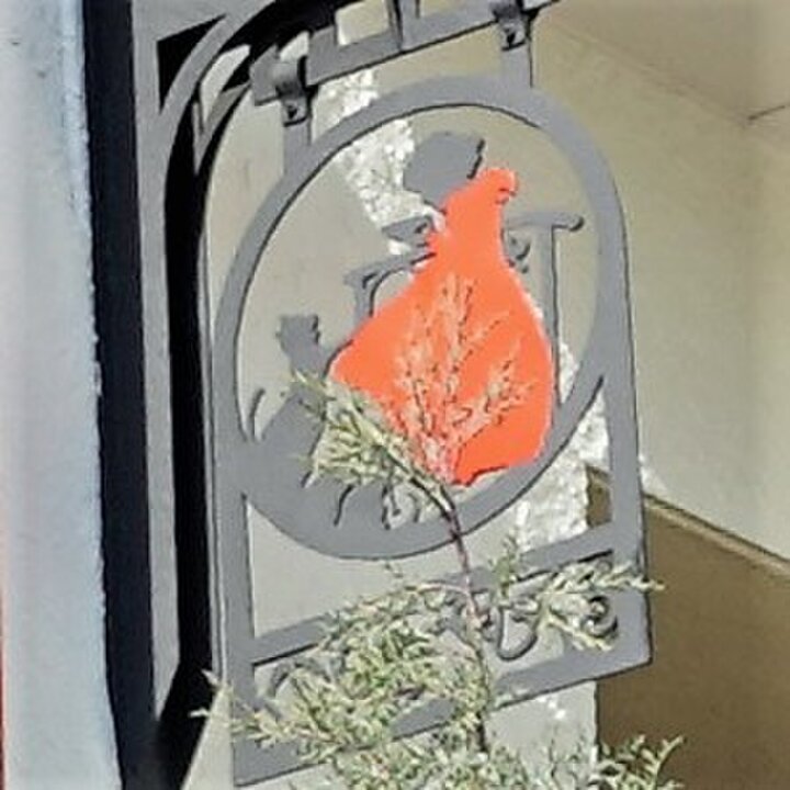 spot