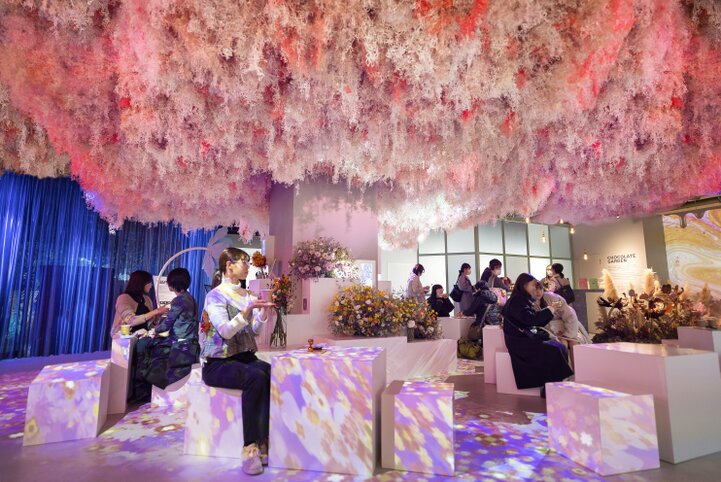 ひと足早く桜を満喫♪限定花みくじ＆桜ぜんざいでフラワーアートや食を