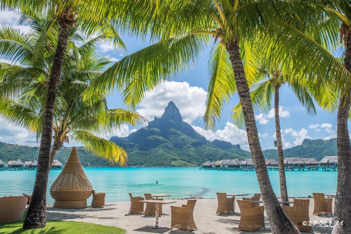 直行便再開♪多彩な魅力にあふれる楽園・タヒチで非日常の旅行体験を