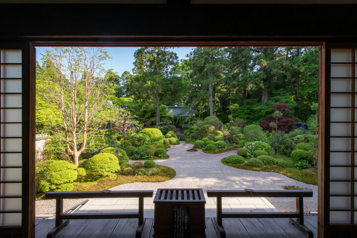 奥浜名湖の古刹【龍潭寺】で新緑の庭を眺めて